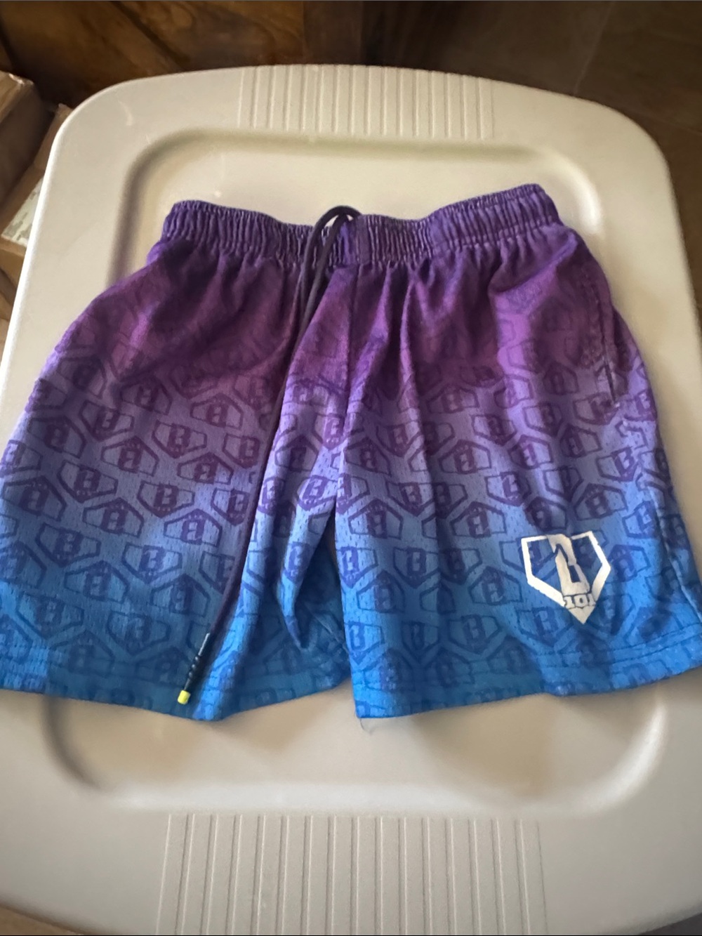 Baseball lifestyle 101 shorts